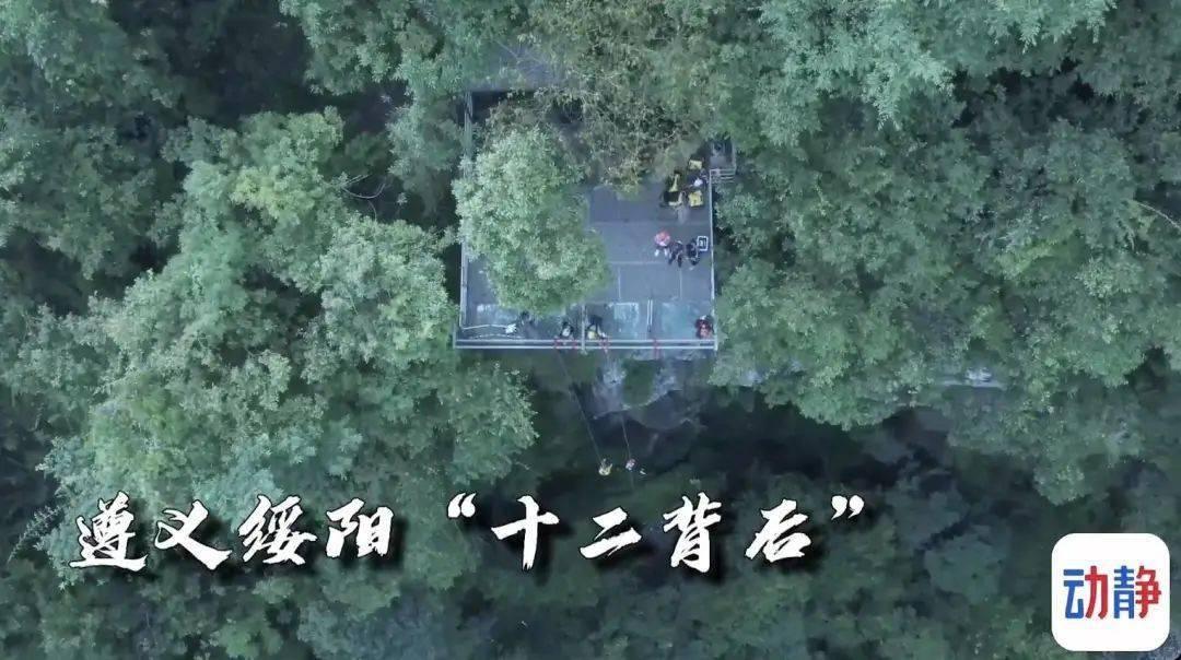 小企鹅逃生